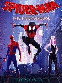 SpiderMan Into the SpiderVerse